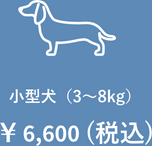 小型犬（3kg～8g）￥6,600(税込)