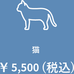 猫￥5,500(税込)